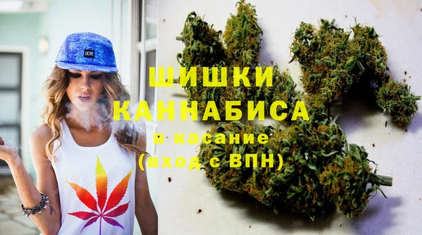 ГАЛЛЮЦИНОГЕННЫЕ ГРИБЫ Алексеевка