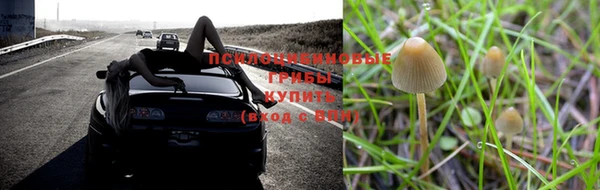 гидропоника Алексин