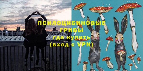 ГАЛЛЮЦИНОГЕННЫЕ ГРИБЫ Алексеевка