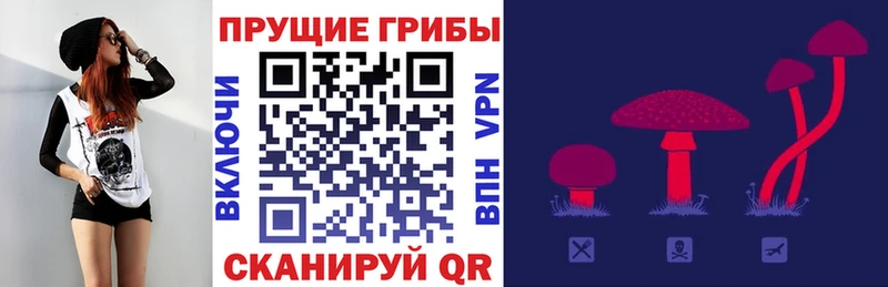 блэк спрут онион магазин продажи наркотиков Поронайск Галлюциногенные грибы Psilocybine cubensis